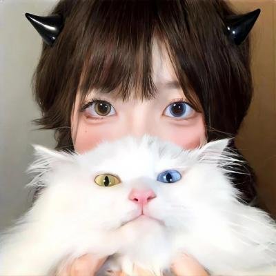 吸血鬼骑士第一季